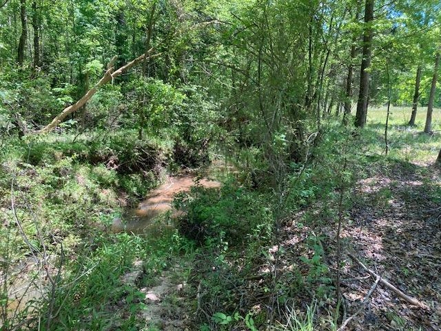 Tbd Dravo Road Blacksburg, SC 29702 - Photo 10 of 12