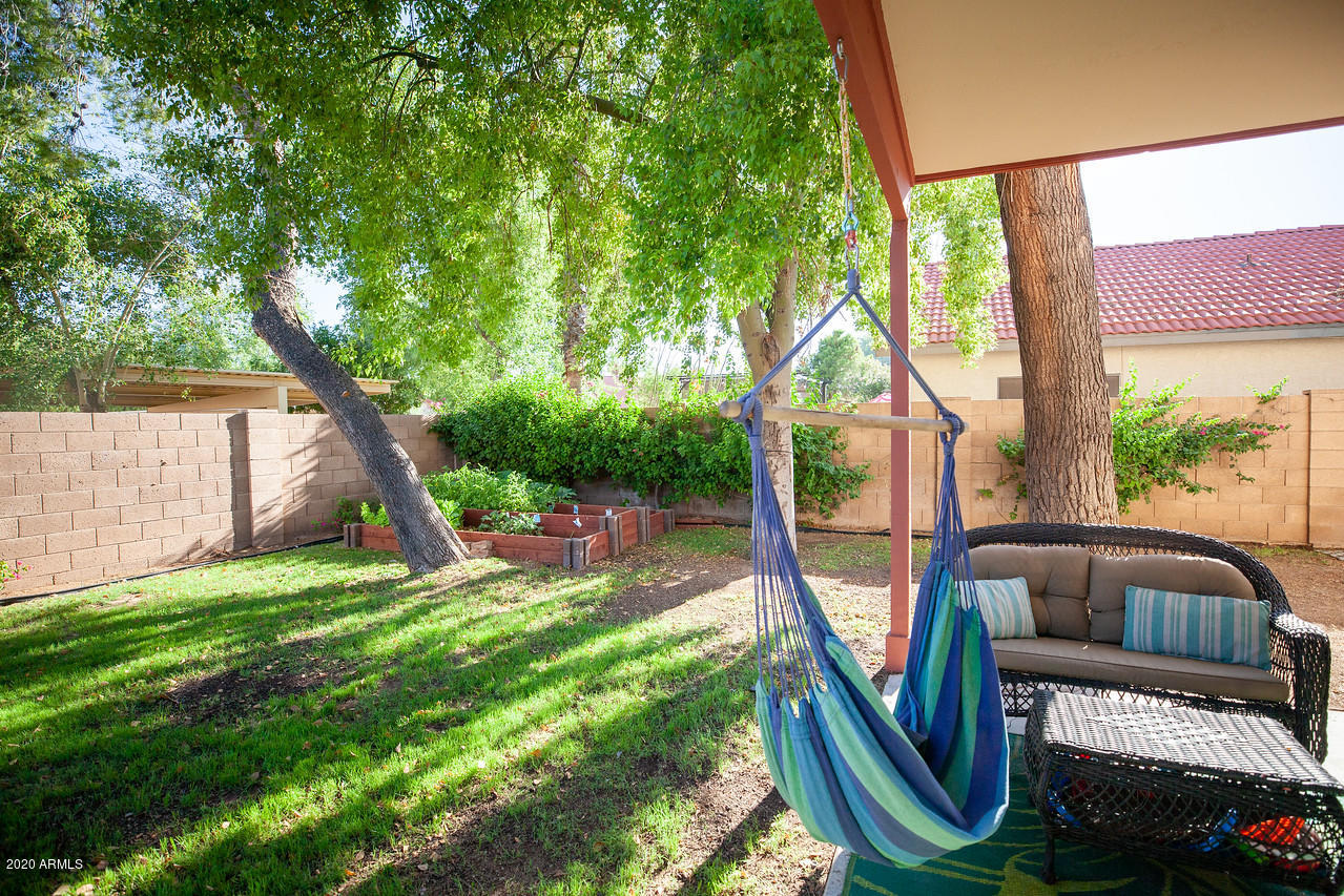4061 West Post Road Chandler, AZ 85226 - Photo 35 of 43 BACKYARD 3