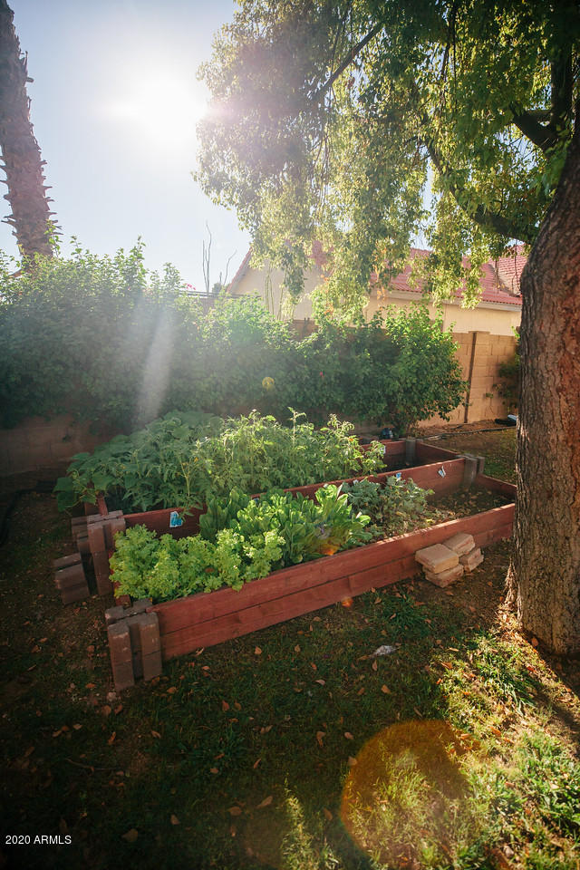 4061 West Post Road Chandler, AZ 85226 - Photo 43 of 43 GARDEN 1