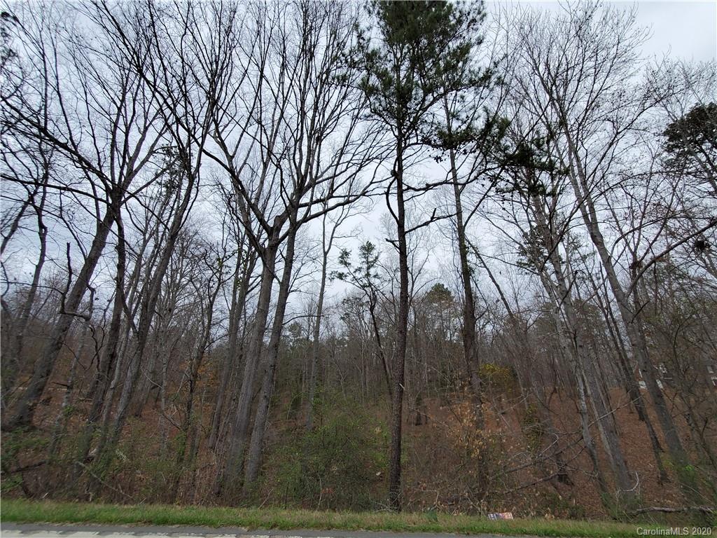 0 Jim Wilson Road, Unit 14 Indian Land, SC 29707 - Photo 2 of 5 Gallery Image 2
