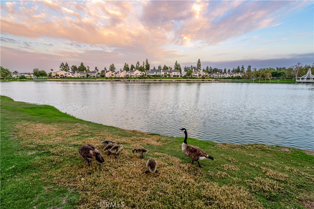 11 Fallingstar Irvine, CA 92614 - Photo 29 of 29