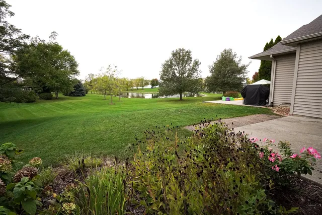 a view of a garden with plants and large trees