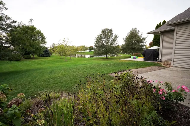 a view of a garden with plants and large trees