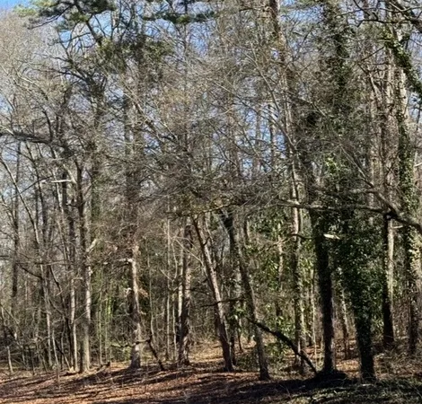 $58,000 | Lot 1 East Greenville Street, Anderson, SC 29621