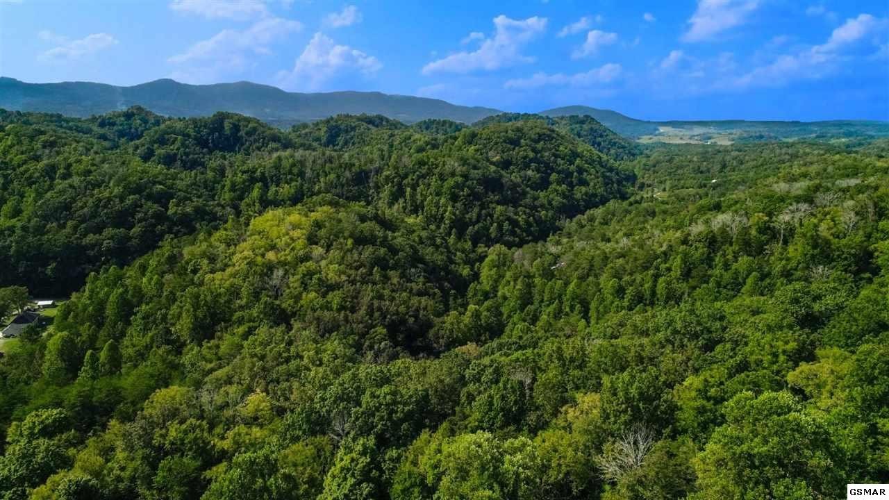 25 Lower Rinehart Road Dandridge, TN 37725 - Photo 8 of 27 Gallery Image 8