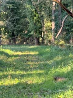 0 West County Road 480 Connersville, IN 47331 - Photo 13 of 15