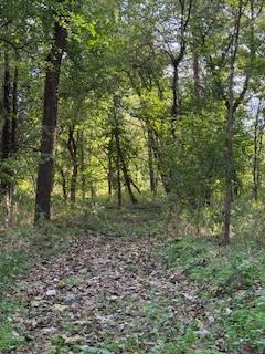 0 West County Road 480 Connersville, IN 47331 - Photo 3 of 15