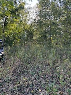 0 West County Road 480 Connersville, IN 47331 - Photo 9 of 15