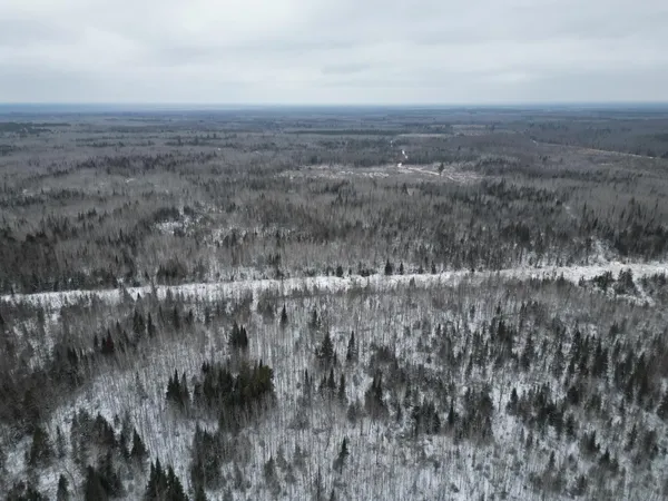 $149,900 | Tbd Tbd Us-71 Big Falls, Big Falls, MN 56627