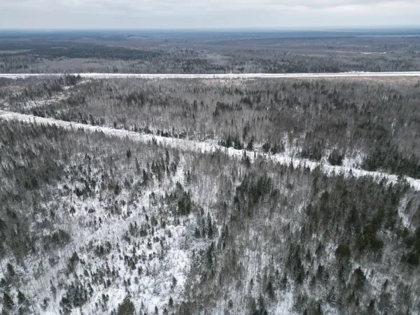 $149,900 | Tbd Tbd Us-71 Big Falls, Big Falls, MN 56627