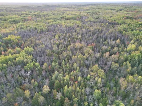 $149,900 | Tbd Tbd Us-71 Big Falls, Big Falls, MN 56627