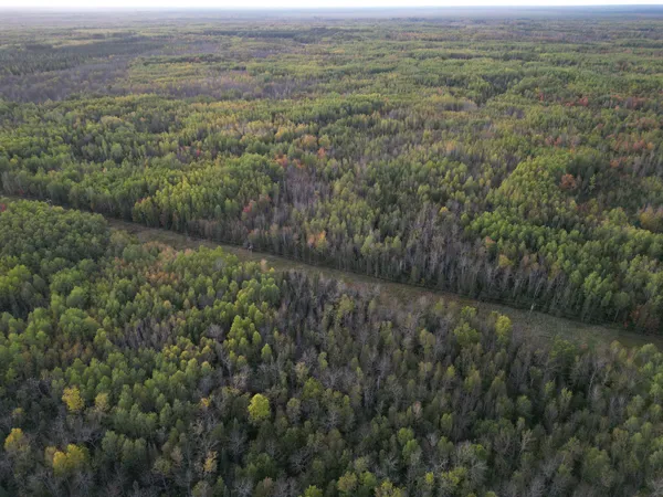 $149,900 | Tbd Tbd Us-71 Big Falls, Big Falls, MN 56627