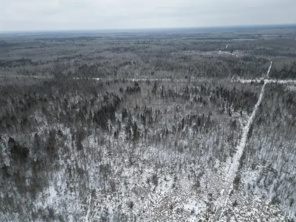 $149,900 | Tbd Tbd Us-71 Big Falls, Big Falls, MN 56627