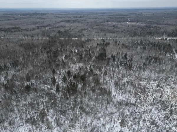 $149,900 | Tbd Tbd Us-71 Big Falls, Big Falls, MN 56627