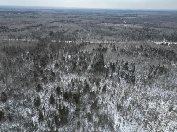 $149,900 | Tbd Tbd Us-71 Big Falls, Big Falls, MN 56627