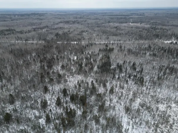 $149,900 | Tbd Tbd Us-71 Big Falls, Big Falls, MN 56627