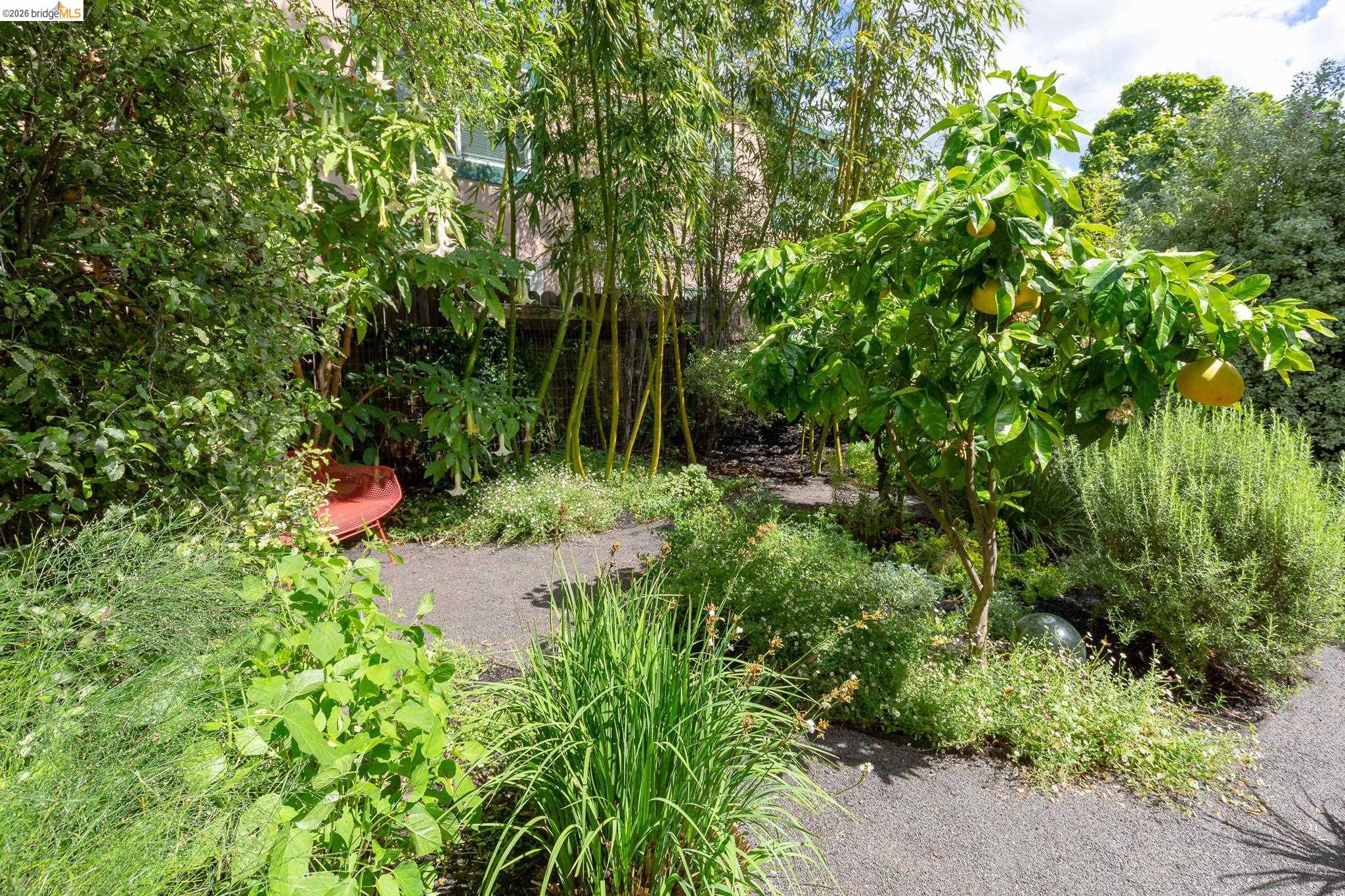 2155 Emerson Street Berkeley, CA 94705 - Photo 39 of 50