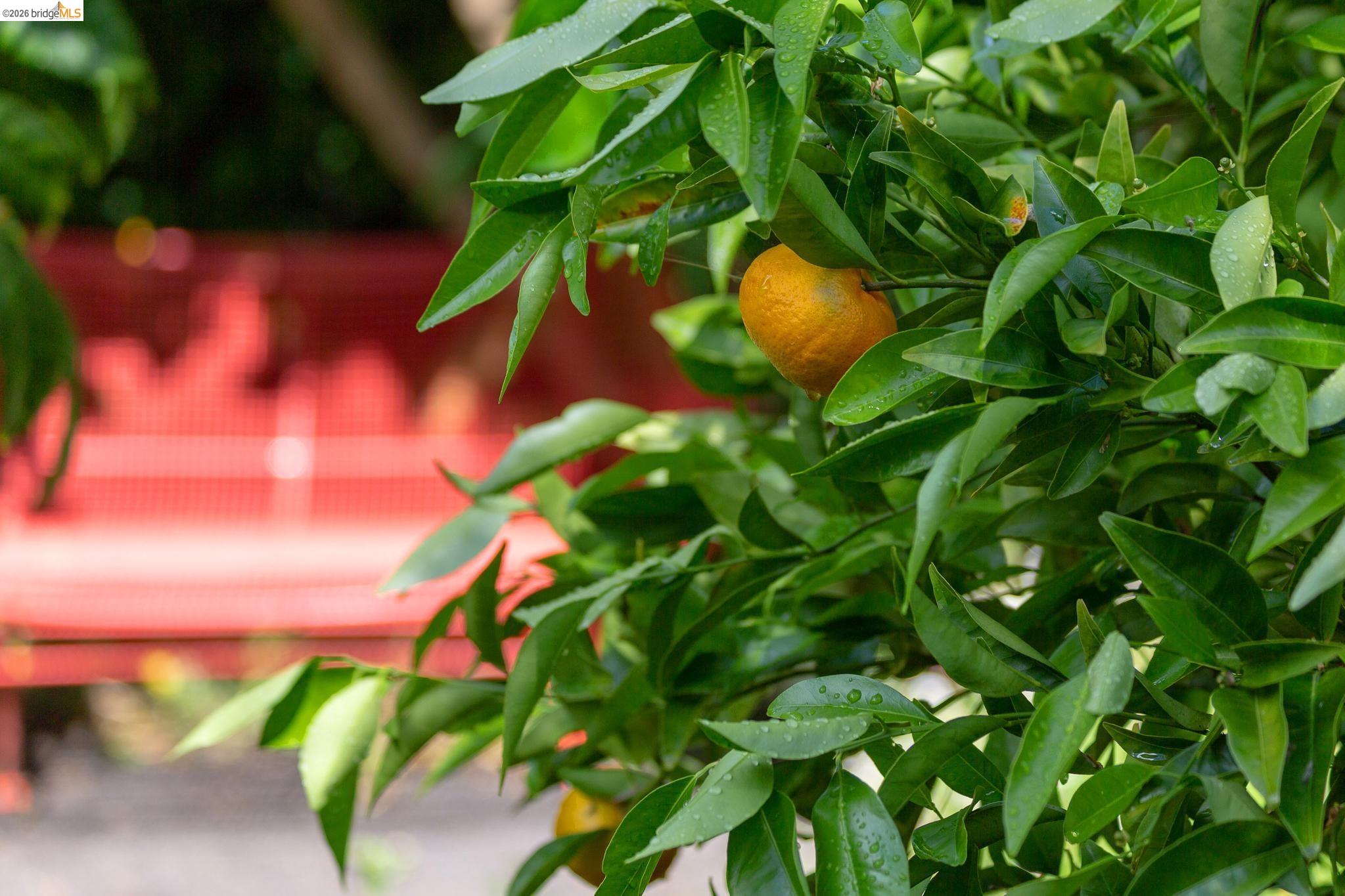 2155 Emerson Street Berkeley, CA 94705 - Photo 43 of 50