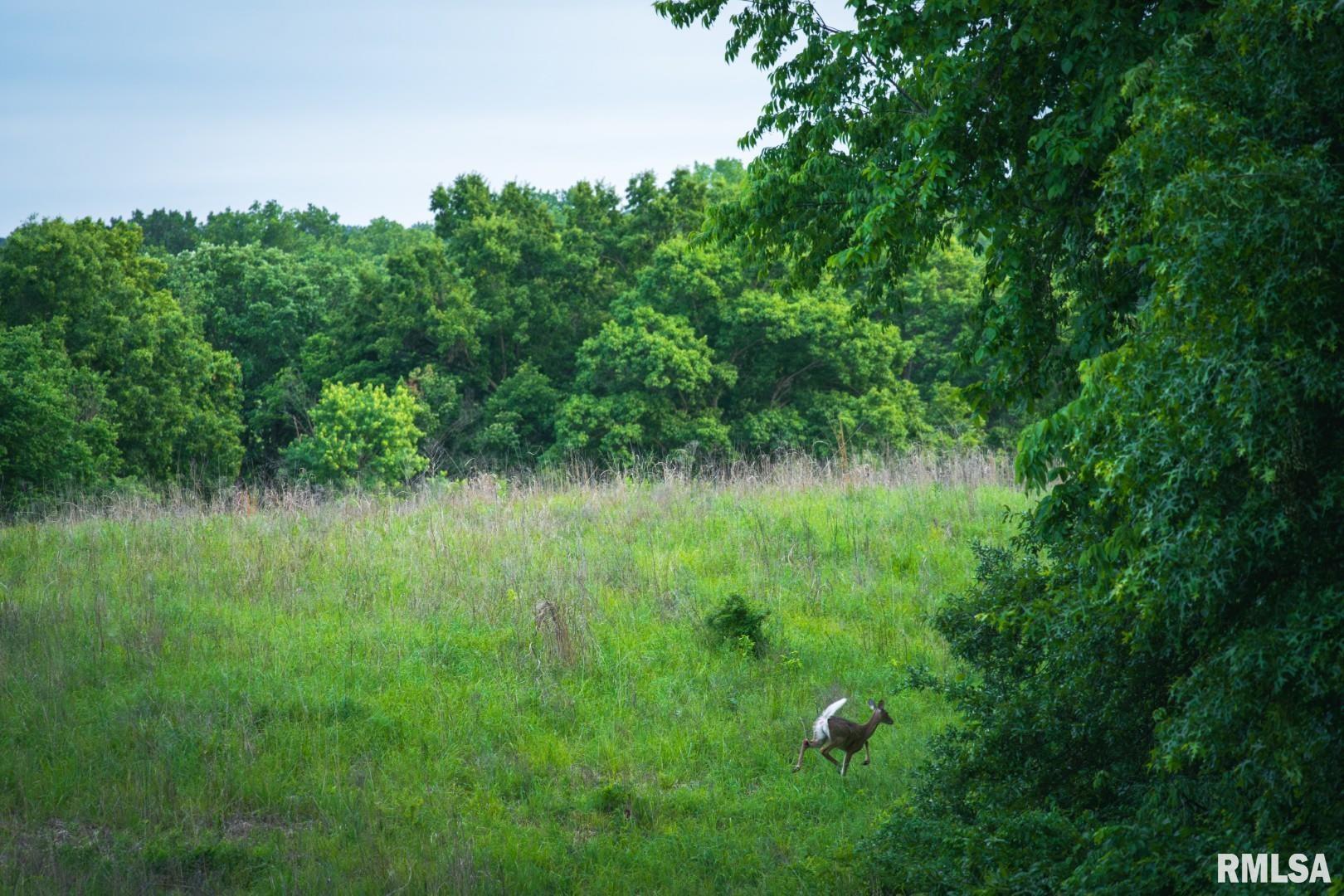 12481 Timber Ridge Godfrey, IL 62035 - Photo 75 of 98