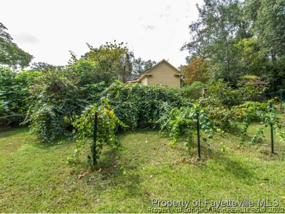 524 Carthage Street Cameron, NC 28326 - Photo 15 of 16 a view of a yard