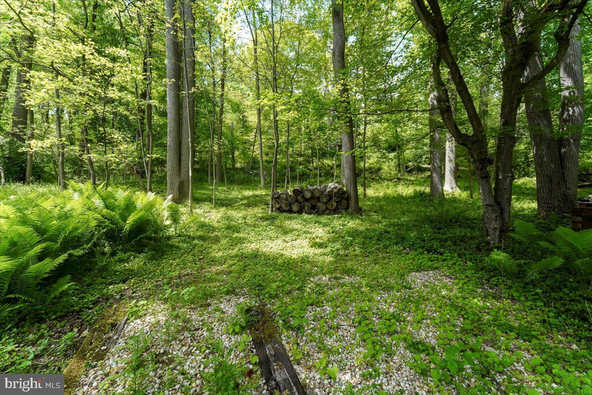 202 Hansell Road Newtown Square, PA 19073 - Photo 7 of 47 Private backyard