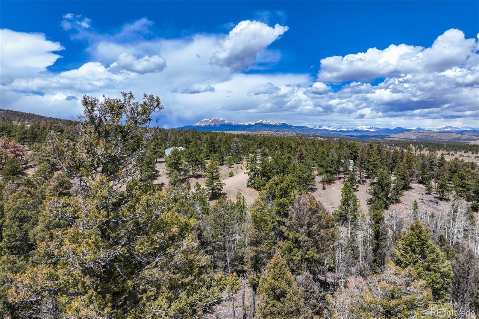 1430 Singletree Road Hartsel, CO 80449 - Photo 13 of 20 Gallery Image 13