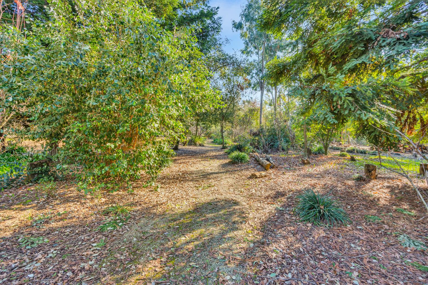 11909 Giusti Road Herald, CA 95638 - Photo 34 of 42