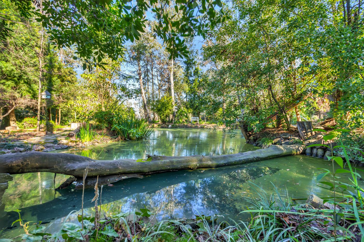 11909 Giusti Road Herald, CA 95638 - Photo 37 of 42