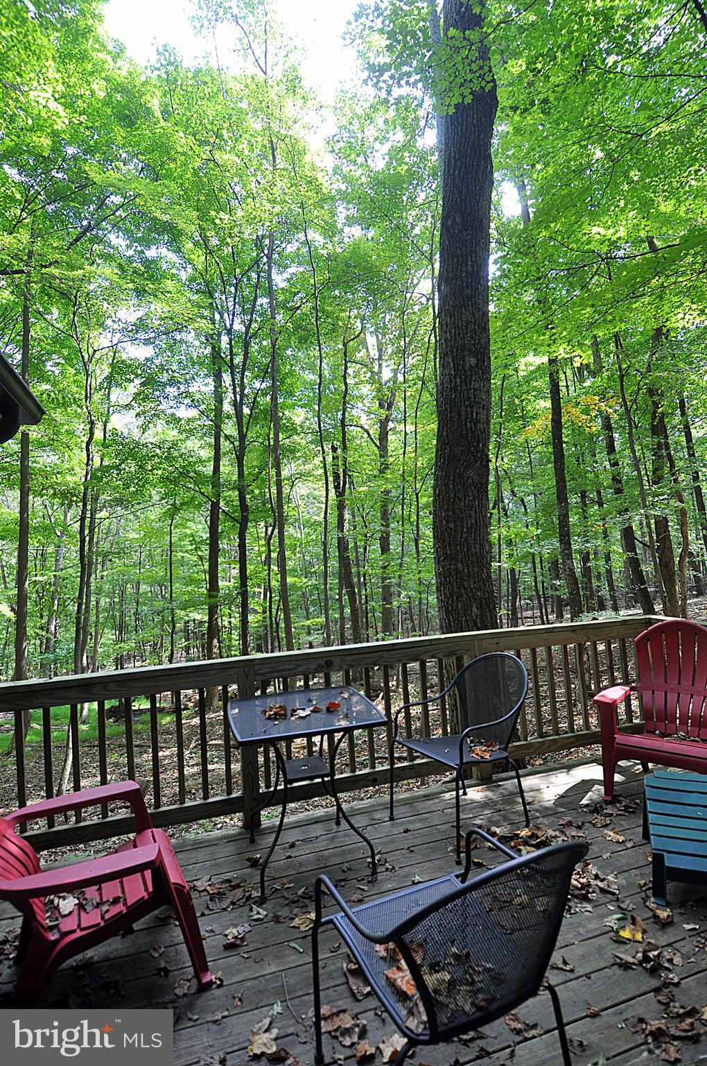 9 Mountainside Road Berkeley Springs, WV 25411 - Photo 18 of 32 Gallery Image 18