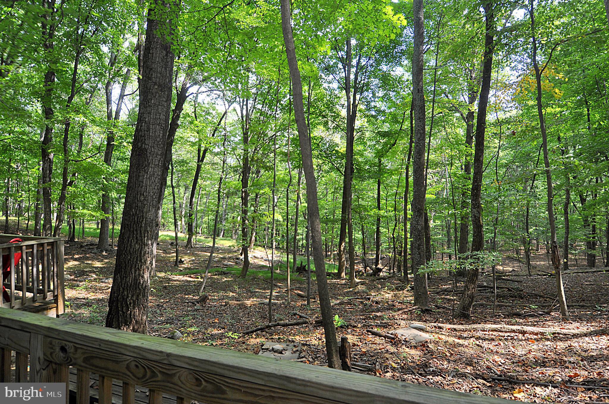 9 Mountainside Road Berkeley Springs, WV 25411 - Photo 19 of 32 Gallery Image 19