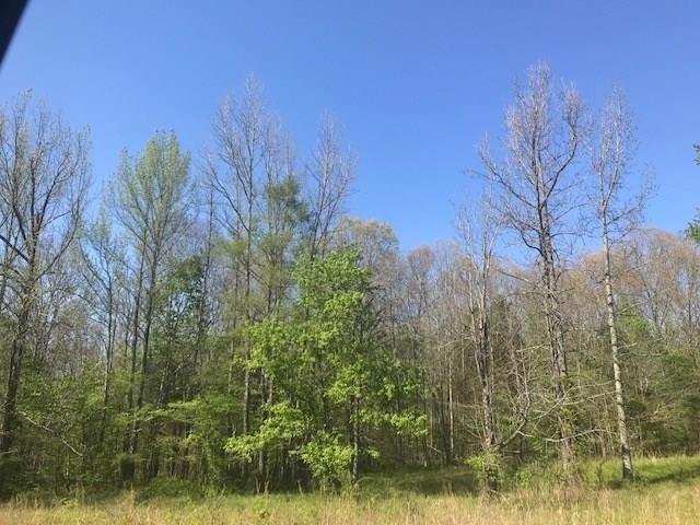 Lot 7 Lock 5 Road Wilmore, KY 40390 - Photo 2 of 3 Gallery Image 2