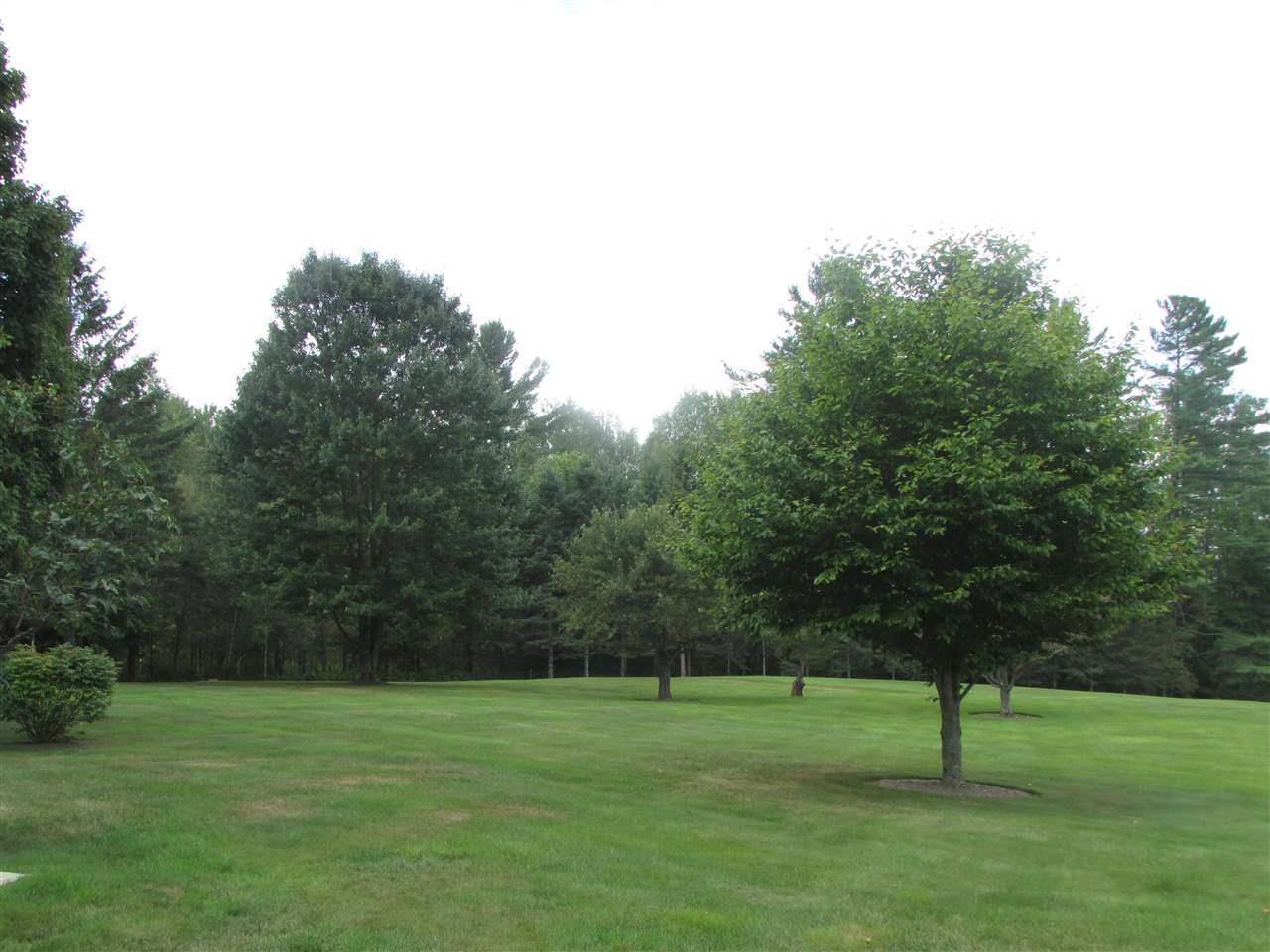 3218 Ward Hill Road Hardwick, VT 05836 - Photo 27 of 30