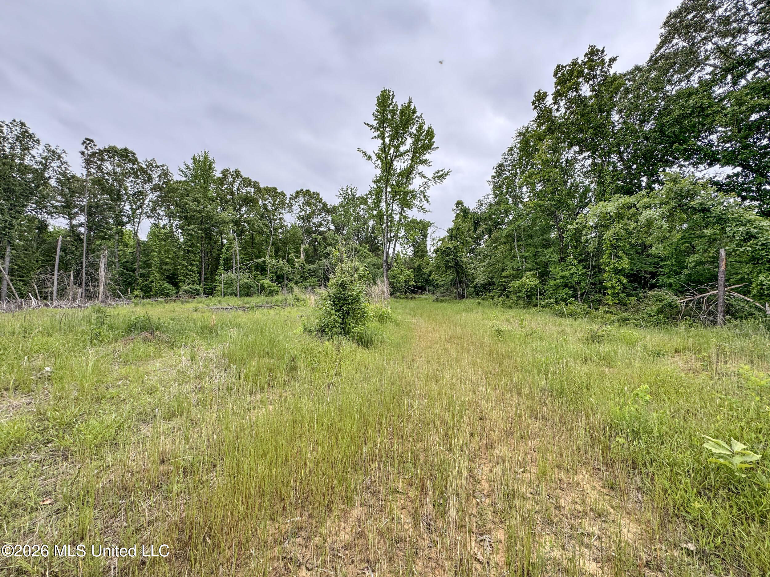 Wayne Massie Road Como, MS 38619 - Photo 158 of 184 5cdtbs104
