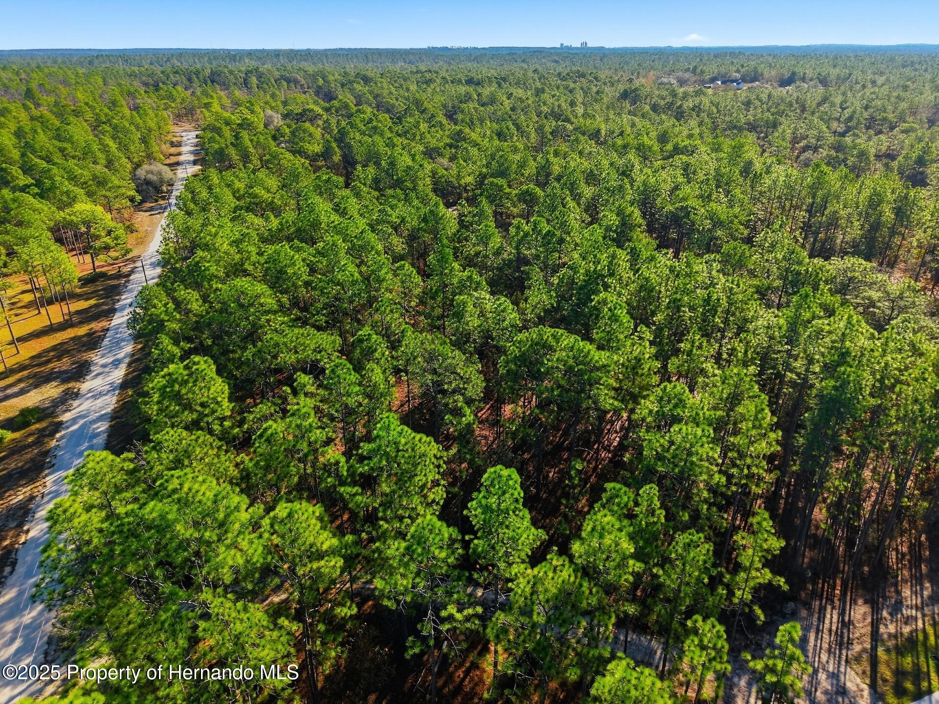 0 Raschke Run Weeki Wachee, FL 34614 - Photo 7 of 9 Gallery Image 7