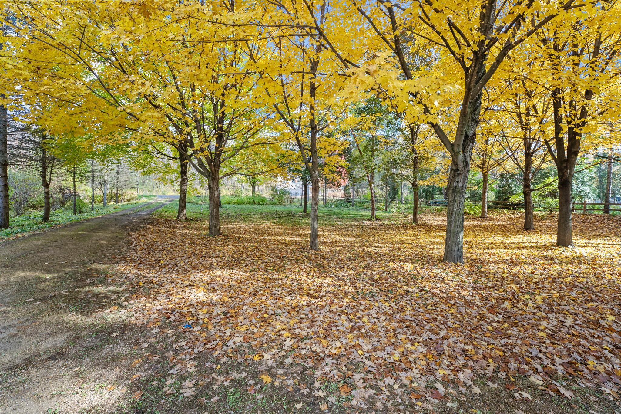 732 Rabbit Road St. Peter, MN 56082 - Photo 4 of 62