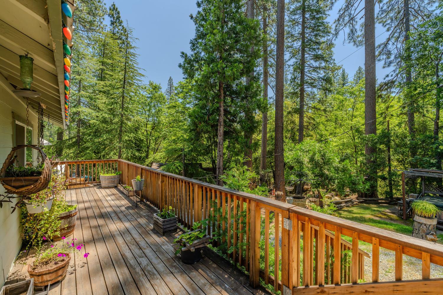 2059 Winton Road West Point, CA 95255 - Photo 49 of 80