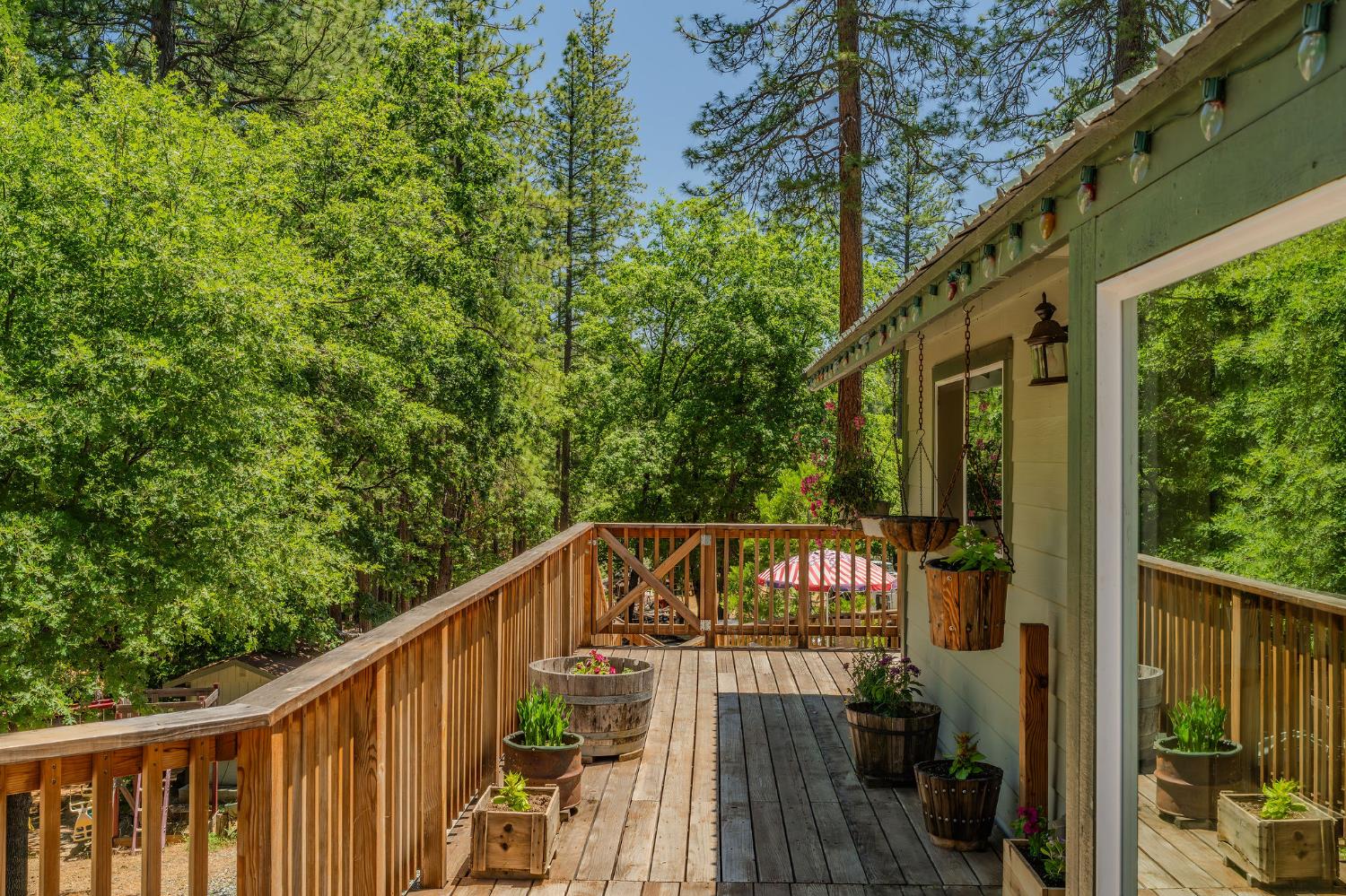 2059 Winton Road West Point, CA 95255 - Photo 54 of 80