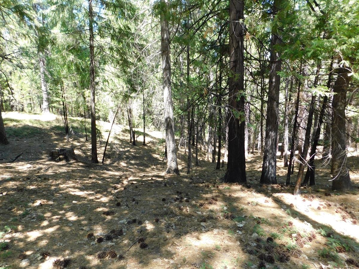 2059 Winton Road West Point, CA 95255 - Photo 74 of 80