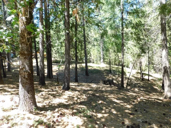 $454,888 | 2059 Winton Road, West Point, CA 95255