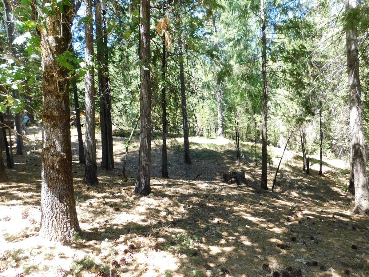 2059 Winton Road West Point, CA 95255 - Photo 75 of 80