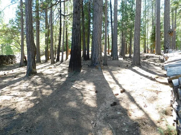 $454,888 | 2059 Winton Road, West Point, CA 95255