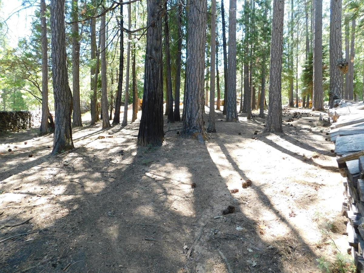 2059 Winton Road West Point, CA 95255 - Photo 76 of 80