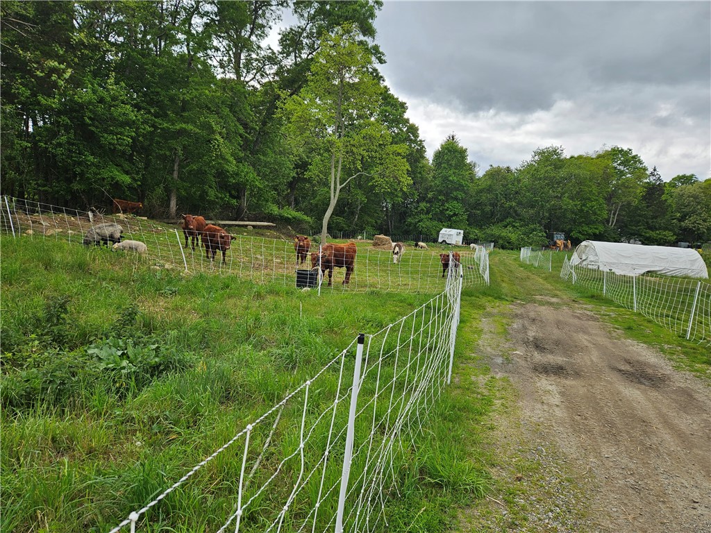241 Cornell Road Tiverton, RI 02878 - Photo 27 of 47