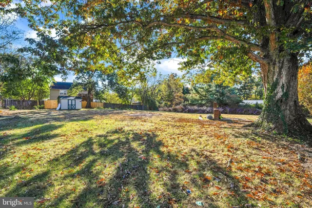 a view of street with trees