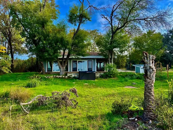 a backyard of a house with table and chairs plants and large tree