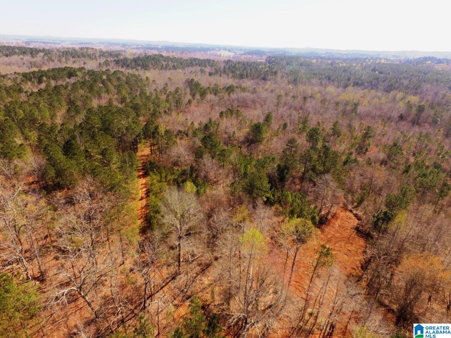 3045 Corinth Road, Unit 56 ACRES Cragford, AL 36255 - Photo 27 of 29