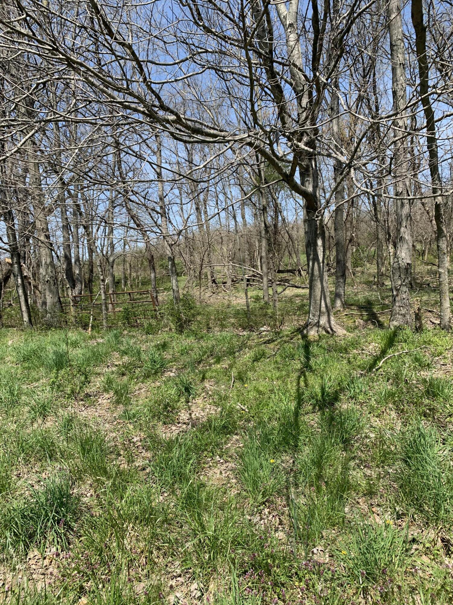 1000 Britton Road Harrodsburg, KY 40330 - Photo 81 of 88 0E6AB4C9-CF62-400F-B465-BB355980BD1B