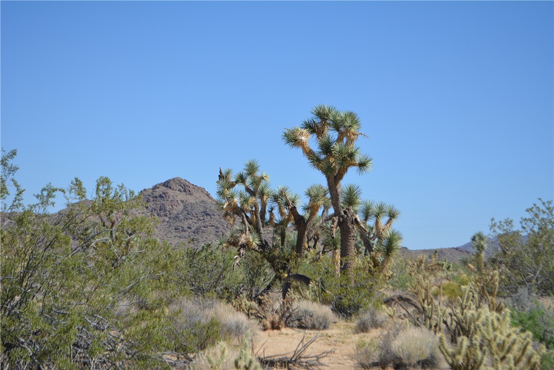 Lot G8 South Alvis Road Yucca, AZ 86438 - Photo 18 of 48 View