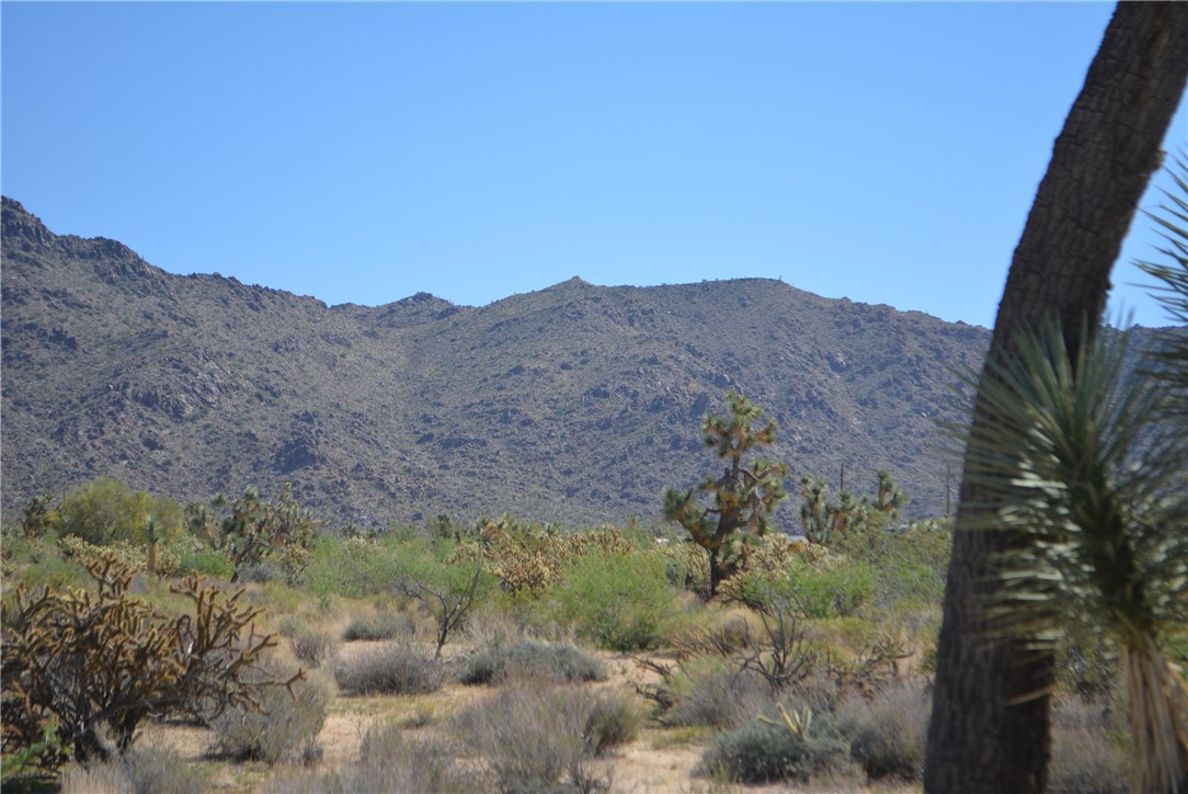 Lot G8 South Alvis Road Yucca, AZ 86438 - Photo 21 of 48 View