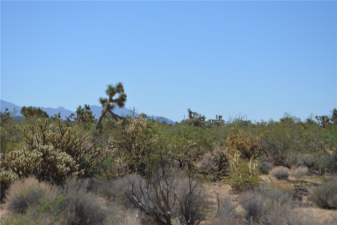 Lot G8 South Alvis Road Yucca, AZ 86438 - Photo 26 of 48 Other
